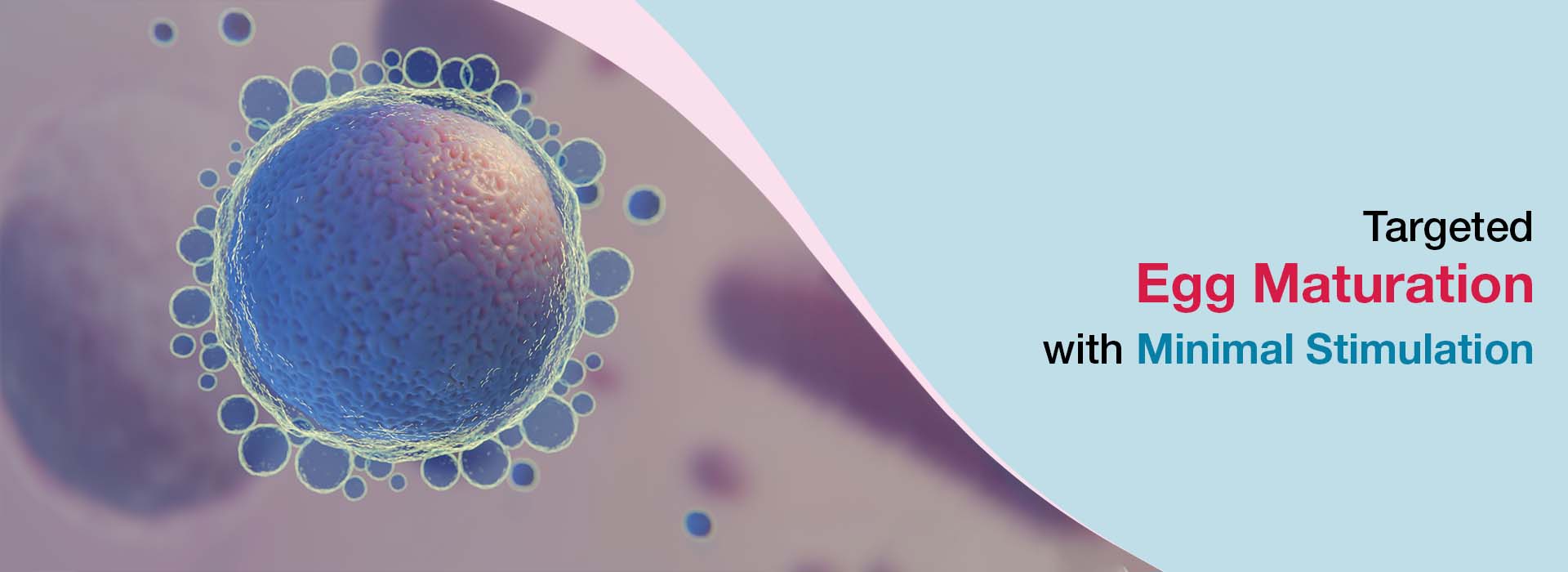 KIMS Fertility Centre in vitro maturation IVM treatment