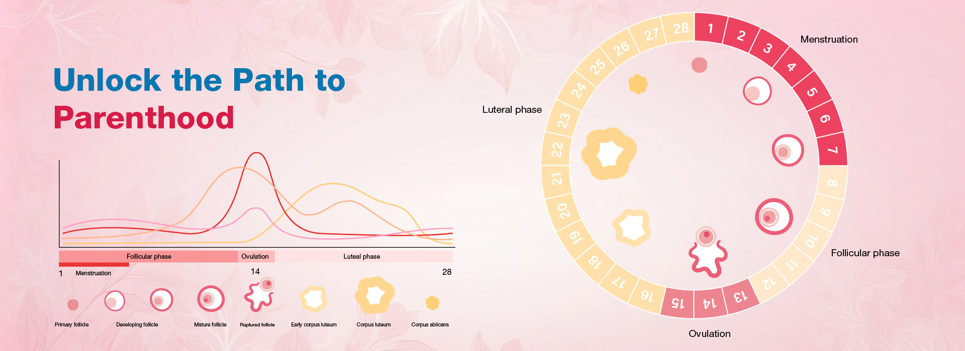 KIMS Fertility Centre trusted for best IVF treatment