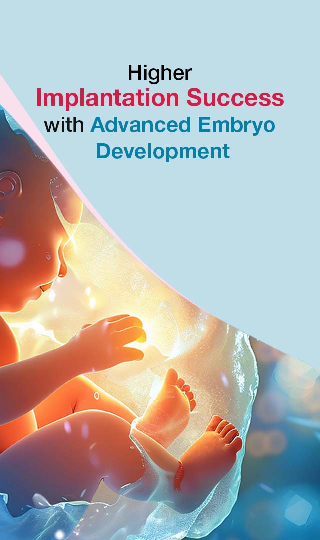 Expert blastocyst culture and embryo transfer