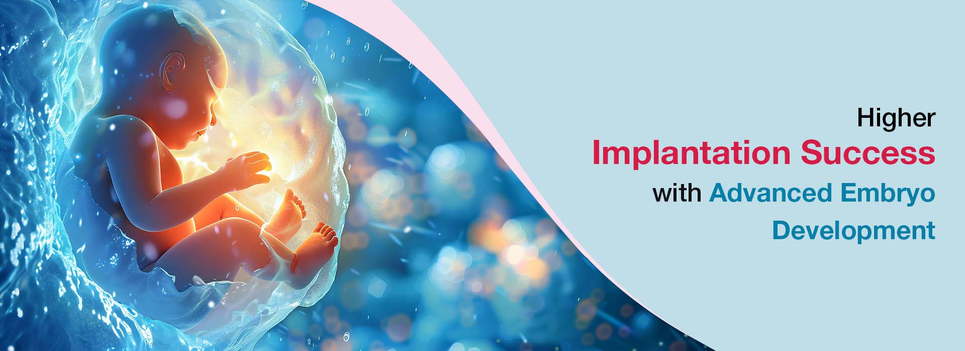 Expert blastocyst culture and embryo transfer