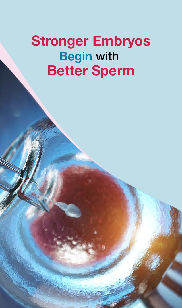 Expert PICSI at KIMS Fertility Centre